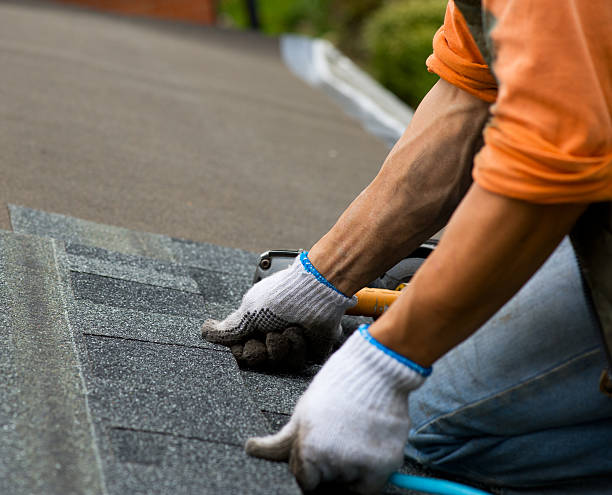 Best Storm Damage Roof Repair  in Franklin Furnace, OH